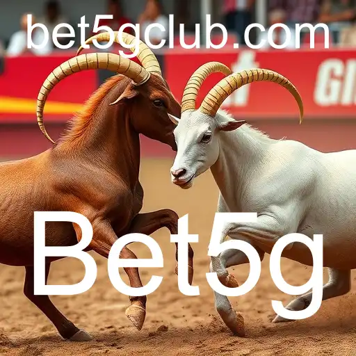 Rinha de galos